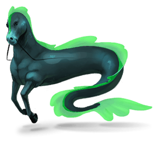 artica, cavallo errante dei 7 mari