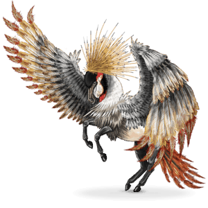 balearica, cavallo errante volante