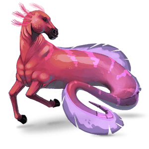 indiana, cavallo errante dei 7 mari