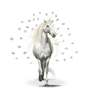 pavos, cavallo errante volante